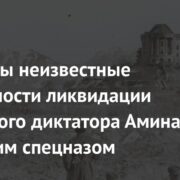 Раскрыты неизвестные подробности ликвидации афганского диктатора Амина советским спецназом