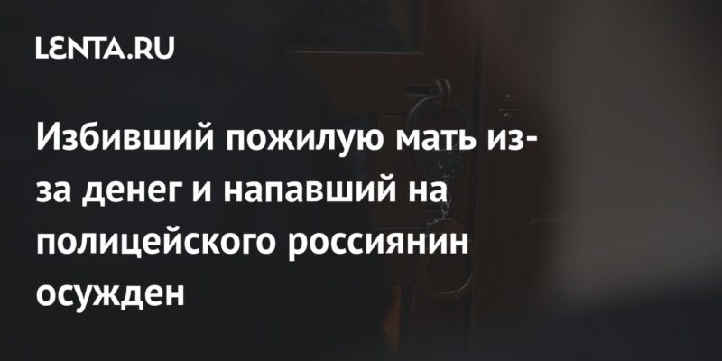 Избивший пожилую мать из-за денег и напавший на полицейского россиянин осужден