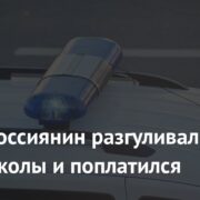 Голый россиянин разгуливал возле школы и поплатился