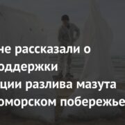 В билайне рассказали о мерах поддержки ликвидации разлива мазута на Черноморском побережье