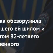 Россиянка обезоружила угрожавшего ей шилом и пистолетом 82-летнего возлюбленного