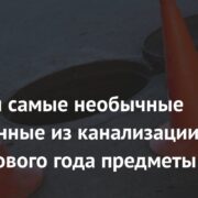 Названы самые необычные извлеченные из канализации после Нового года предметы