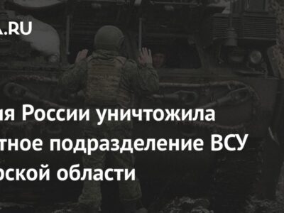 Армия России уничтожила пехотное подразделение ВСУ в Курской области