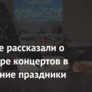 Россияне рассказали о просмотре концертов в новогодние праздники