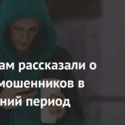 Россиянам рассказали о схемах мошенников в новогодний период