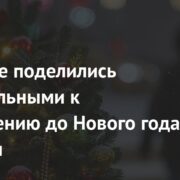 Россияне поделились обязательными к выполнению до Нового года планами