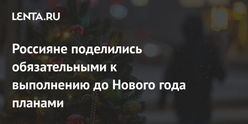 Россияне поделились обязательными к выполнению до Нового года планами