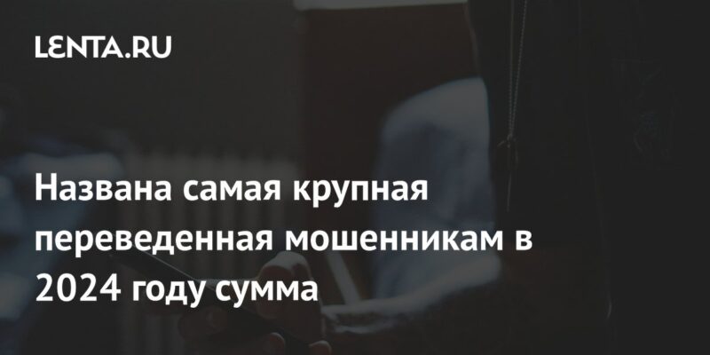 Названа самая крупная переведенная мошенникам в 2024 году сумма