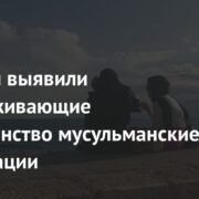 В России выявили поддерживающие многоженство мусульманские организации