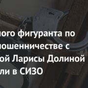 Еще одного фигуранта по делу о мошенничестве с квартирой Ларисы Долиной отправили в СИЗО