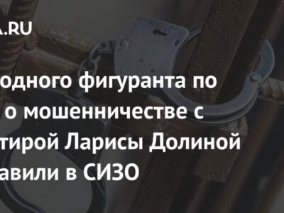 Еще одного фигуранта по делу о мошенничестве с квартирой Ларисы Долиной отправили в СИЗО