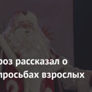 Дед Мороз рассказал о частых просьбах взрослых