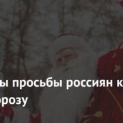 Раскрыты просьбы россиян к Деду Морозу