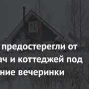 Россиян предостерегли от сдачи дач и коттеджей под новогодние вечеринки