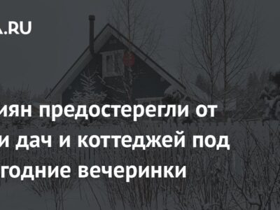 Россиян предостерегли от сдачи дач и коттеджей под новогодние вечеринки