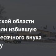 В Иркутской области задержали избившую десятимесячного внука женщину