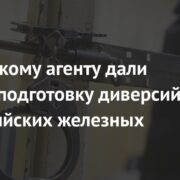 Украинскому агенту дали срок за подготовку диверсий на российских железных дорогах