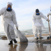 Вылов рыбы в Черном море могут ограничить