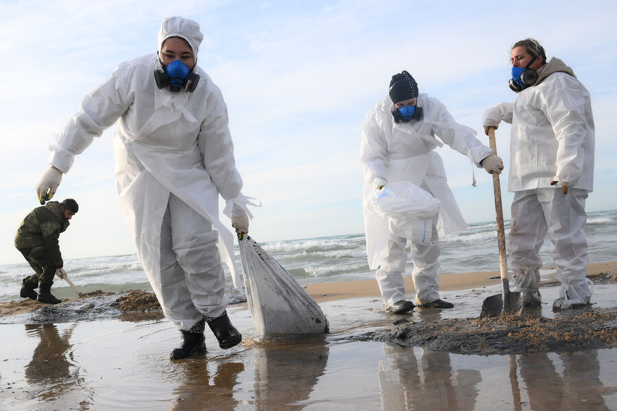 Вылов рыбы в Черном море могут ограничить