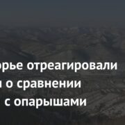 В Приморье отреагировали на слухи о сравнении горожан с опарышами