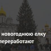 Главную новогоднюю елку страны переработают