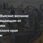 Сафонов объяснил желание помочь очищающим от мазута пляжи Краснодарского края волонтерам