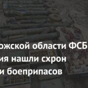 В Запорожской области ФСБ и полиция нашли схрон оружия и боеприпасов