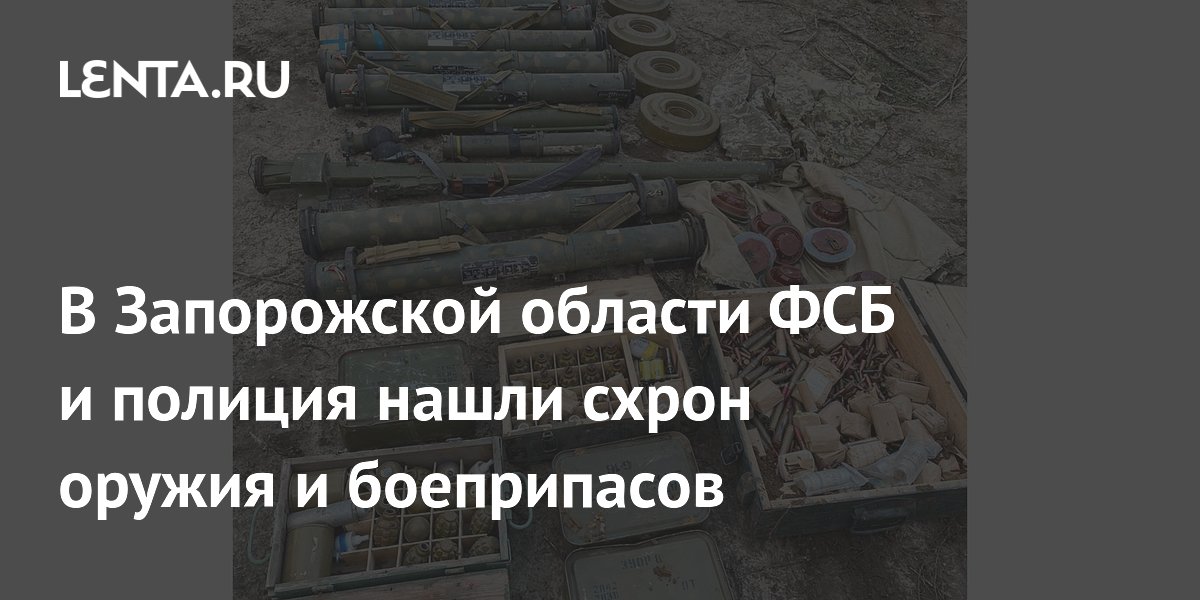 В Запорожской области ФСБ и полиция нашли схрон оружия и боеприпасов