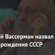 Анатолий Вассерман назвал дату возрождения СССР