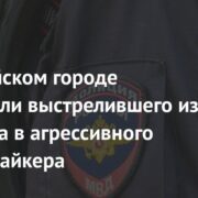 В российском городе задержали выстрелившего из карабина в агрессивного соседа байкера