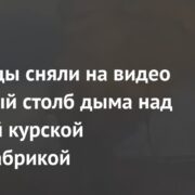 Очевидцы сняли на видео огромный столб дыма над горящей курской птицефабрикой