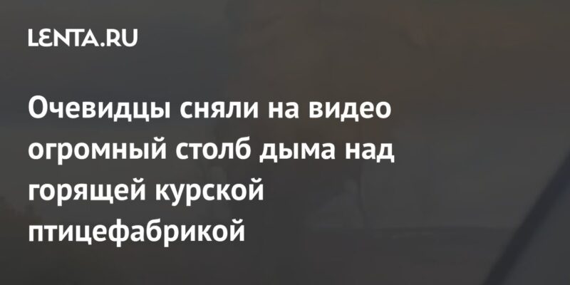 Очевидцы сняли на видео огромный столб дыма над горящей курской птицефабрикой