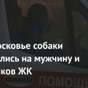 В Подмосковье собаки набросились на мужчину и охранников ЖК