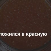 Семак вложился в красную икру