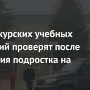 Охрану курских учебных заведений проверят после нападения подростка на школу