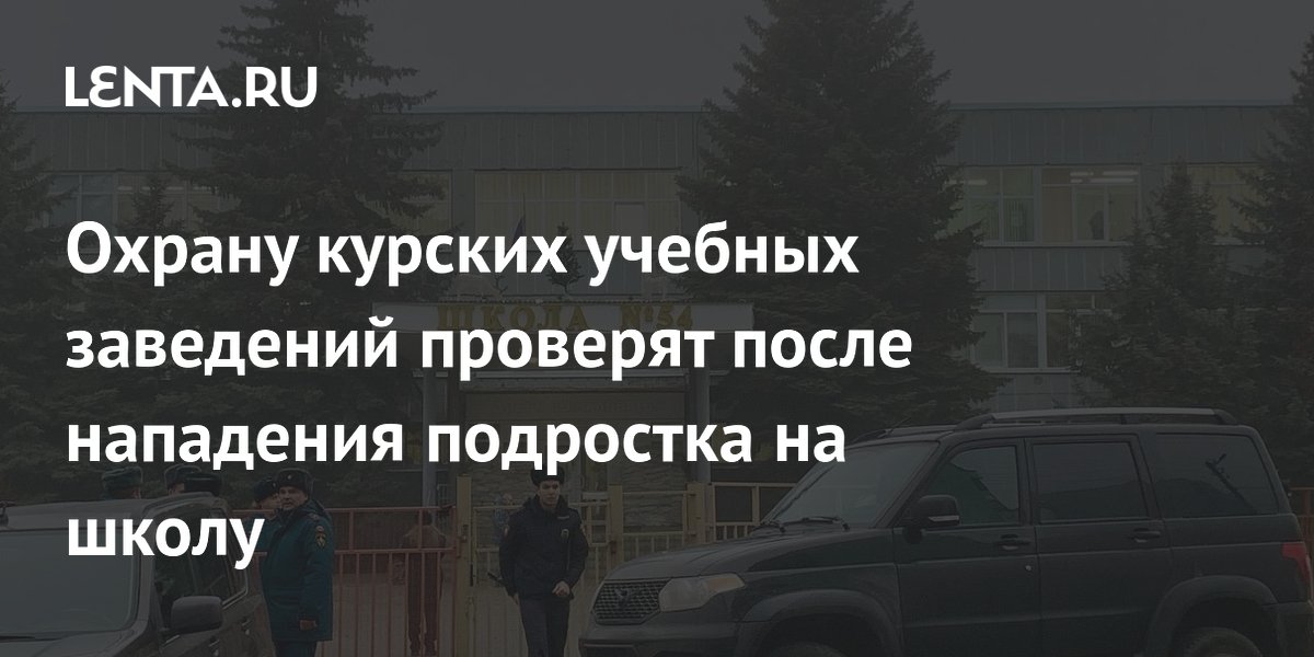 Охрану курских учебных заведений проверят после нападения подростка на школу