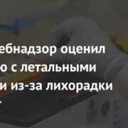 Роспотребнадзор оценил ситуацию с летальными случаями из-за лихорадки Марбург