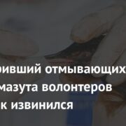 Обматеривший отмывающих птиц от мазута волонтеров чиновник извинился