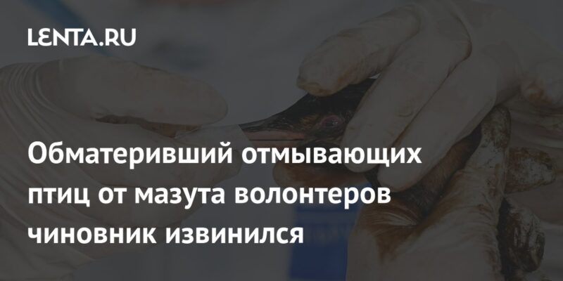 Обматеривший отмывающих птиц от мазута волонтеров чиновник извинился