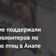 В Госдуме поддержали усилия волонтеров по спасению птиц в Анапе