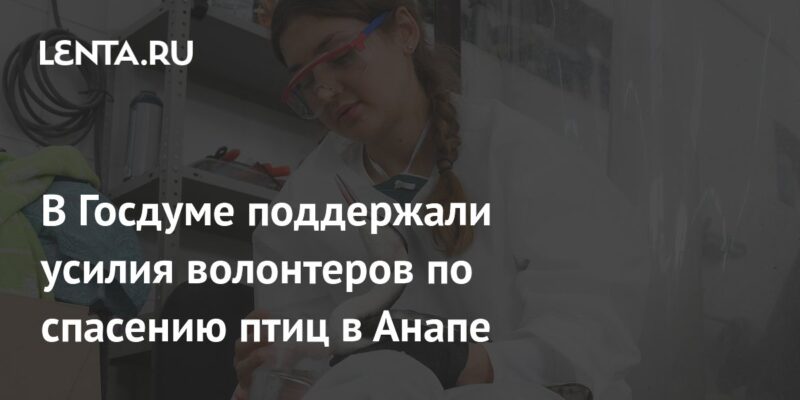 В Госдуме поддержали усилия волонтеров по спасению птиц в Анапе