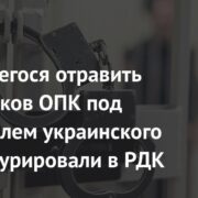 Пытавшегося отравить работников ОПК под Ярославлем украинского агента курировали в РДК