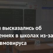 В России высказались об ограничениях в школах из-за метапневмовируса