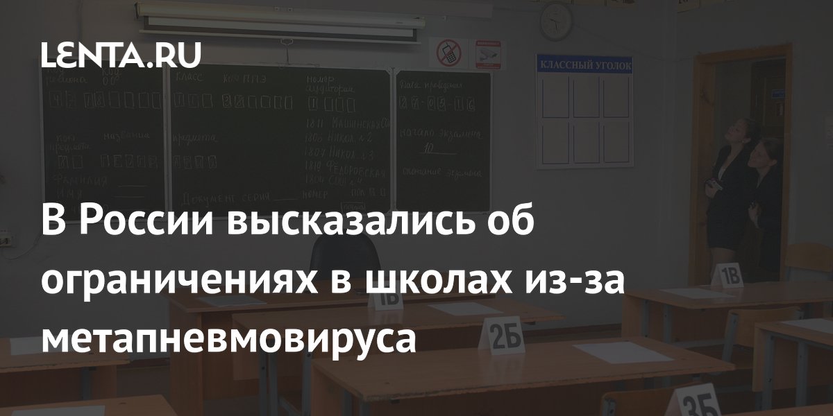 В России высказались об ограничениях в школах из-за метапневмовируса