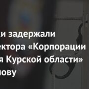 Силовики задержали замдиректора «Корпорации развития Курской области» Мартьянову