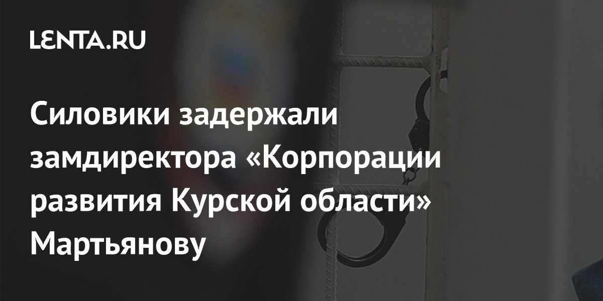 Силовики задержали замдиректора «Корпорации развития Курской области» Мартьянову