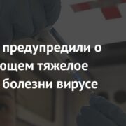 Россиян предупредили о вызывающем тяжелое течение болезни вирусе гриппа