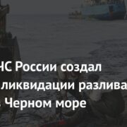 Глава МЧС России создал штаб по ликвидации разлива мазута в Черном море