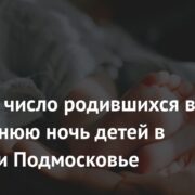 Названо число родившихся в новогоднюю ночь детей в Москве и Подмосковье