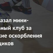 РФС наказал мини-футбольный клуб за расистские оскорбления болельщиков